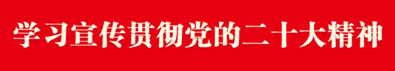 学习宣传贯彻党的二十大精神