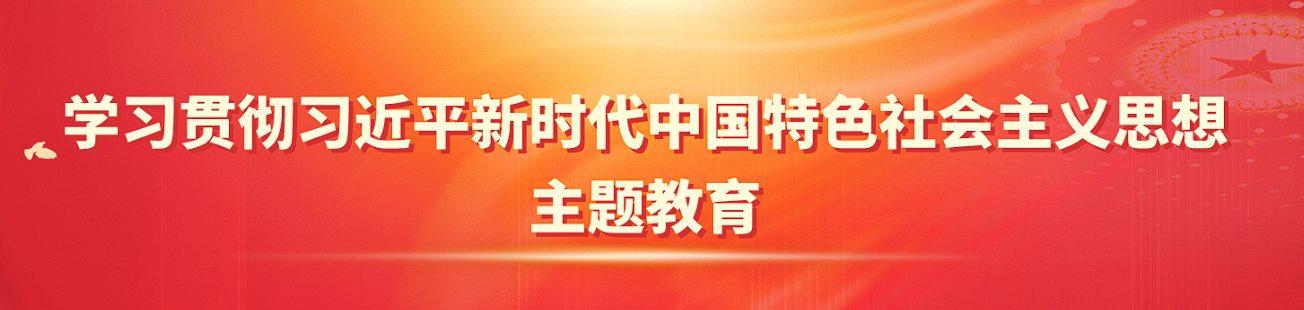 学习贯彻习近平新时代中国特色社会主义思想主题教育